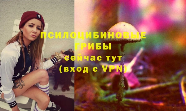 ECSTASY Нея