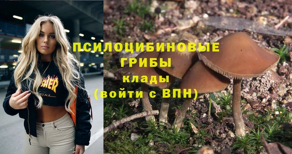 бошки Нефтегорск