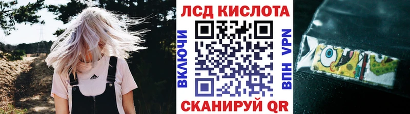 купить  сайты  Ялуторовск  Марки N-bome 1500мкг 